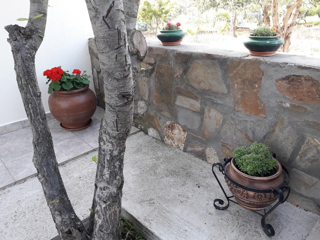 Nikiforos House Apartment Agios Nikolaos  Exterior photo
